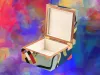 portfolio luxury jewelry box27