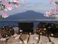 Ercolano Sakura Collection